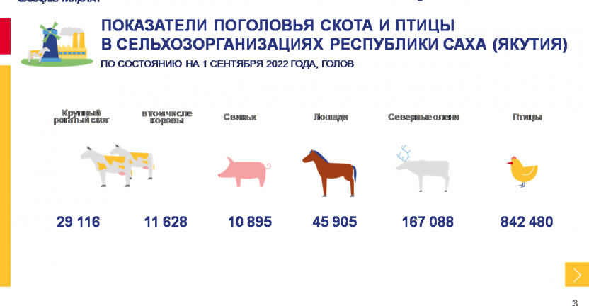 Показатели животноводства в сельхозорганизациях Республики Саха (Якутия) за январь-август 2022 года